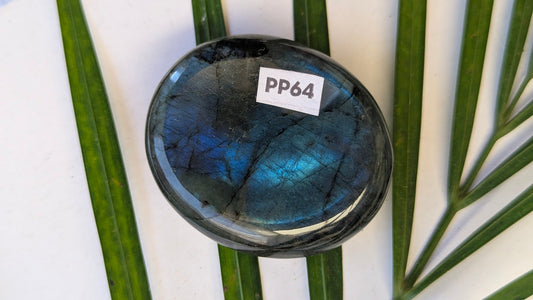 PP64 Labradorite Pierre de pouce