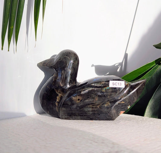 SC13 Labradorite canard Sculpture