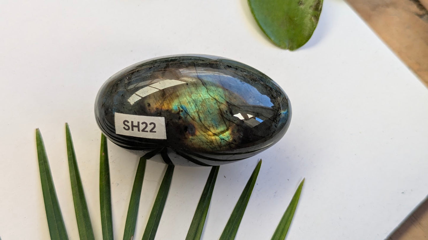 SH22 Labradorite shiva