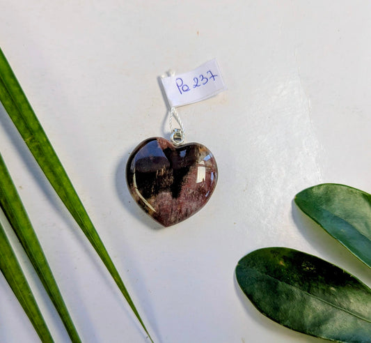 Pe 237 Bois fossilisé pendentif