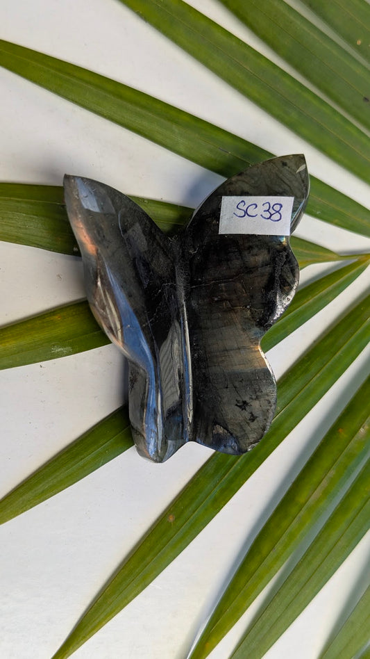 SC38 Labradorite papillon