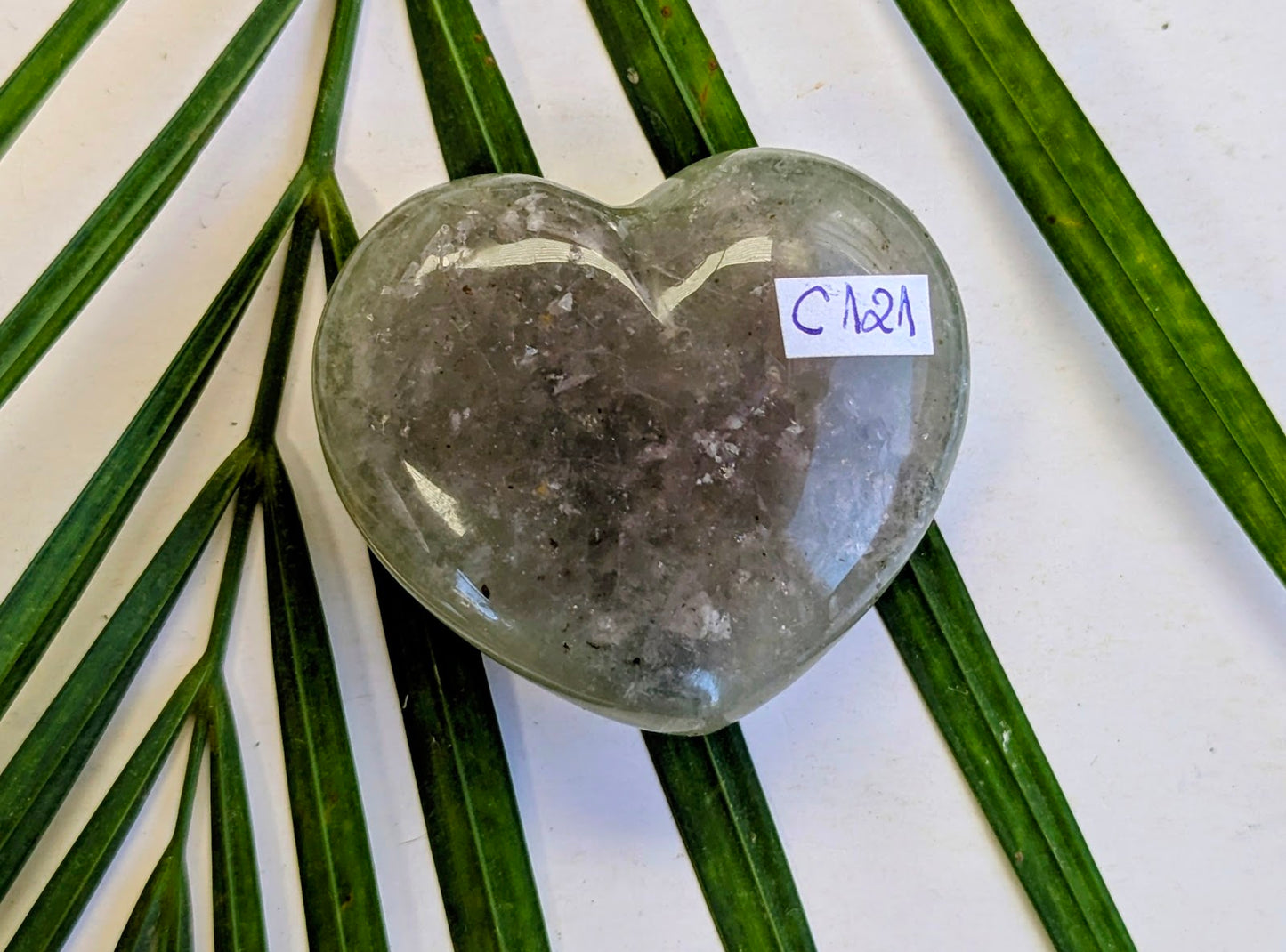 C121 Fluorine coeur