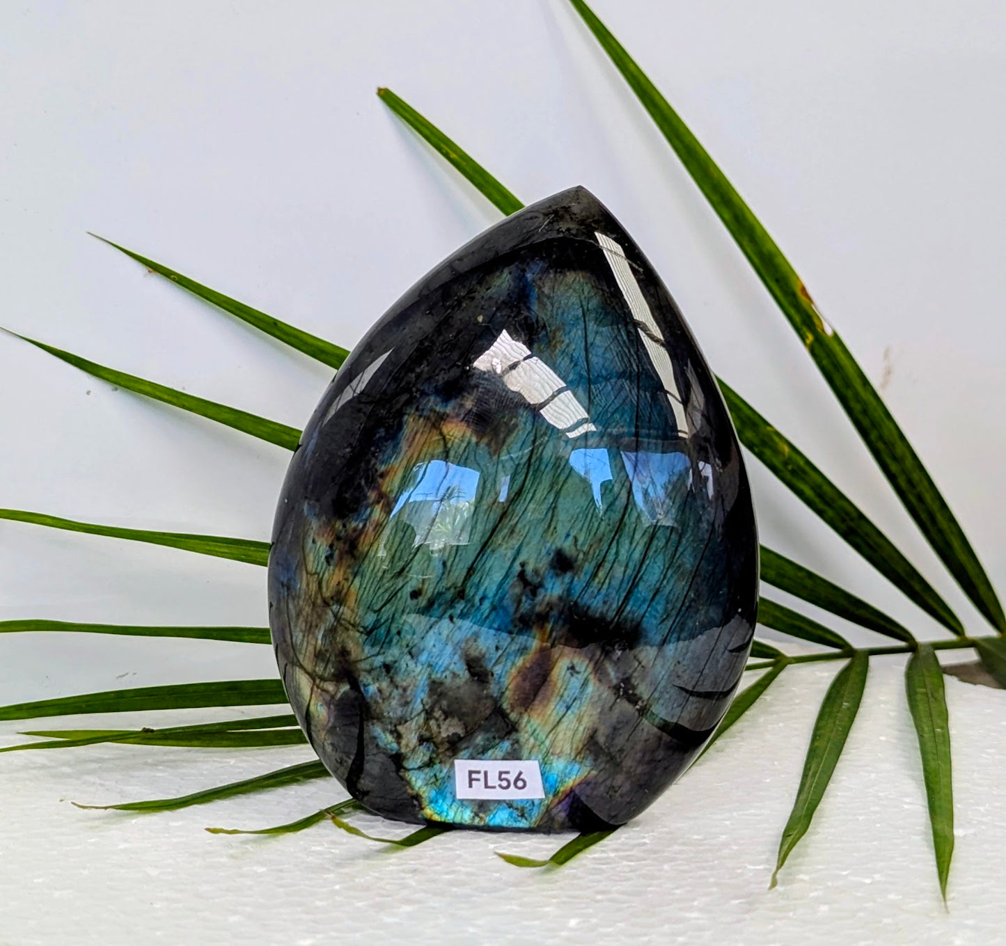FL56 Labradorite Forme libre