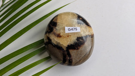 G475 Septaria galet