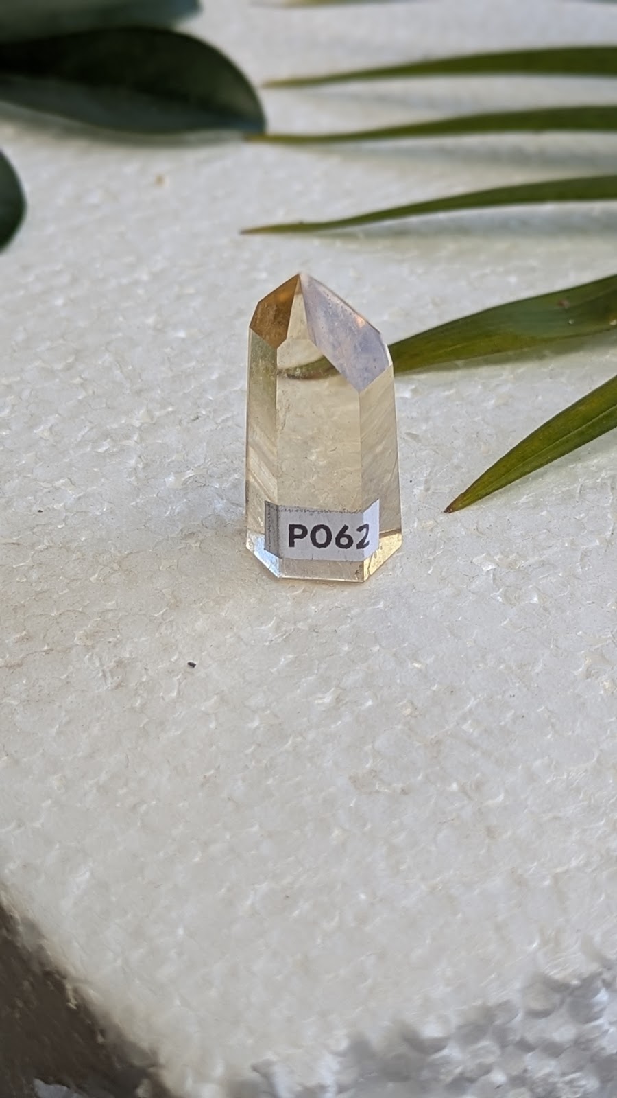 PO62 Cirtine Prisme