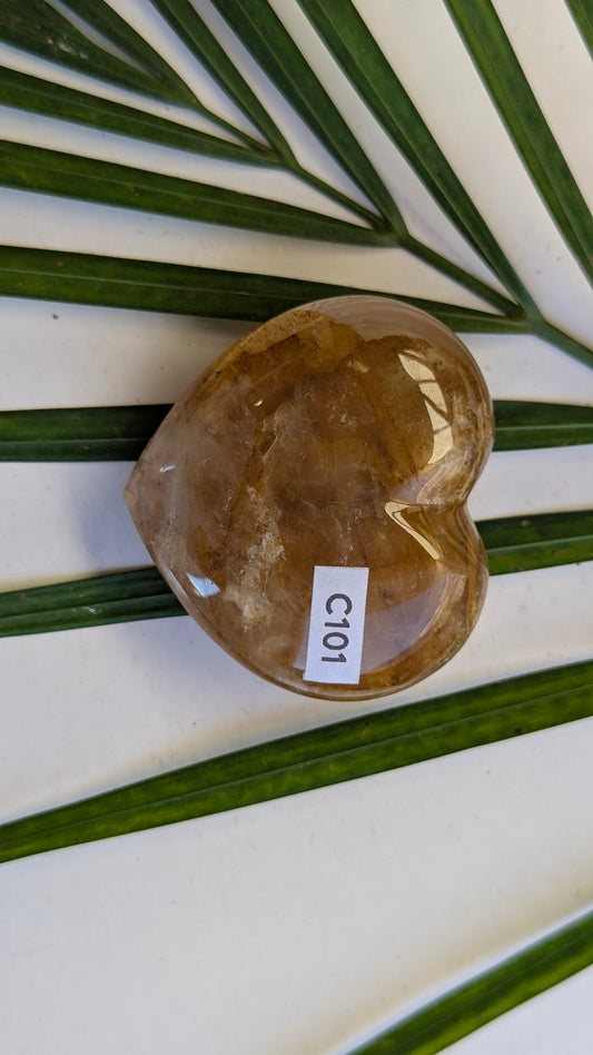 C101 Hematoide jaune Coeur