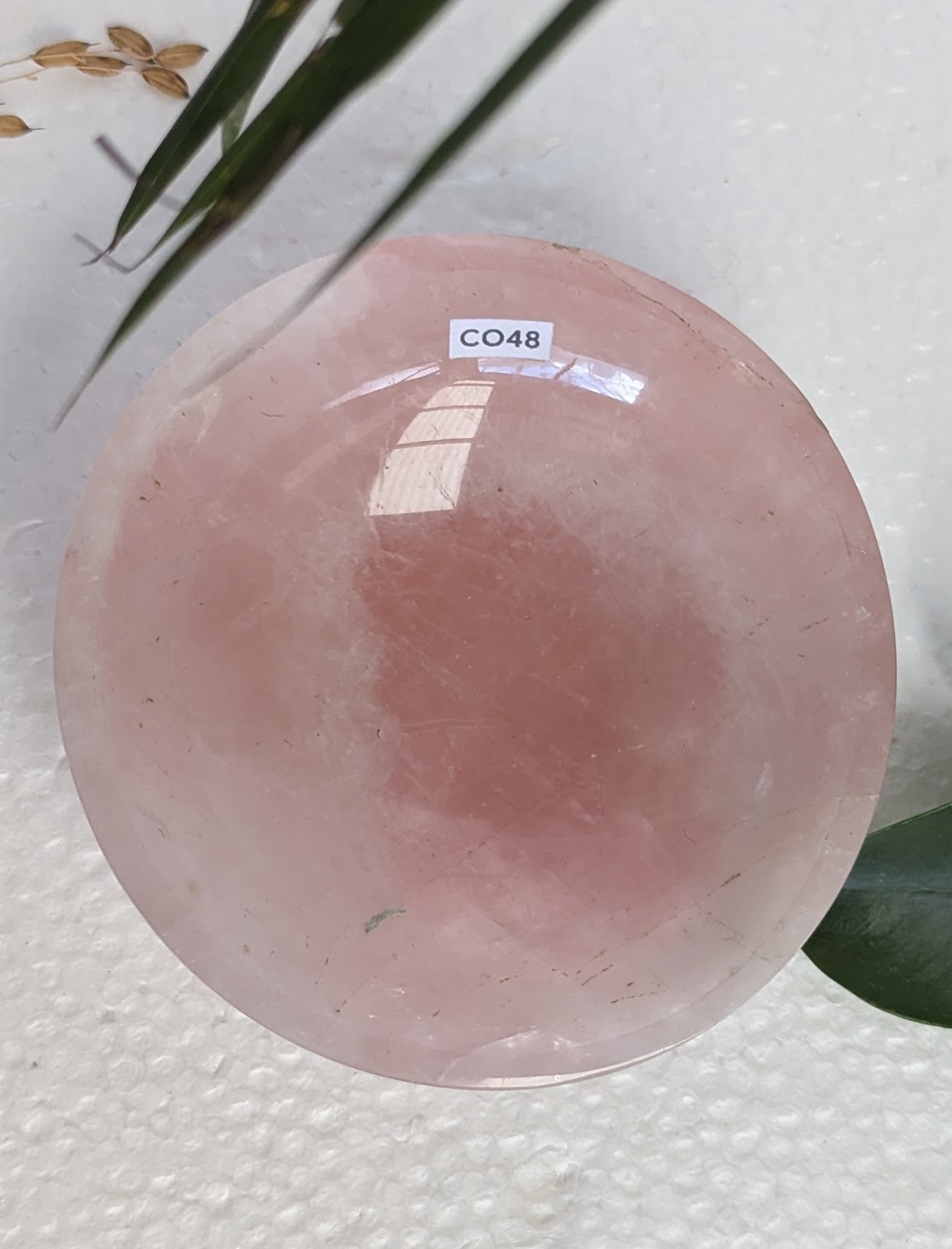 CO48 Quartz-Rose Coupelle