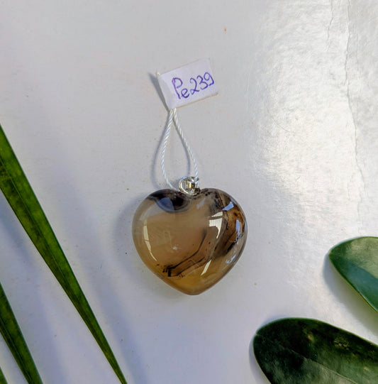 Pe239 Agate pendentif