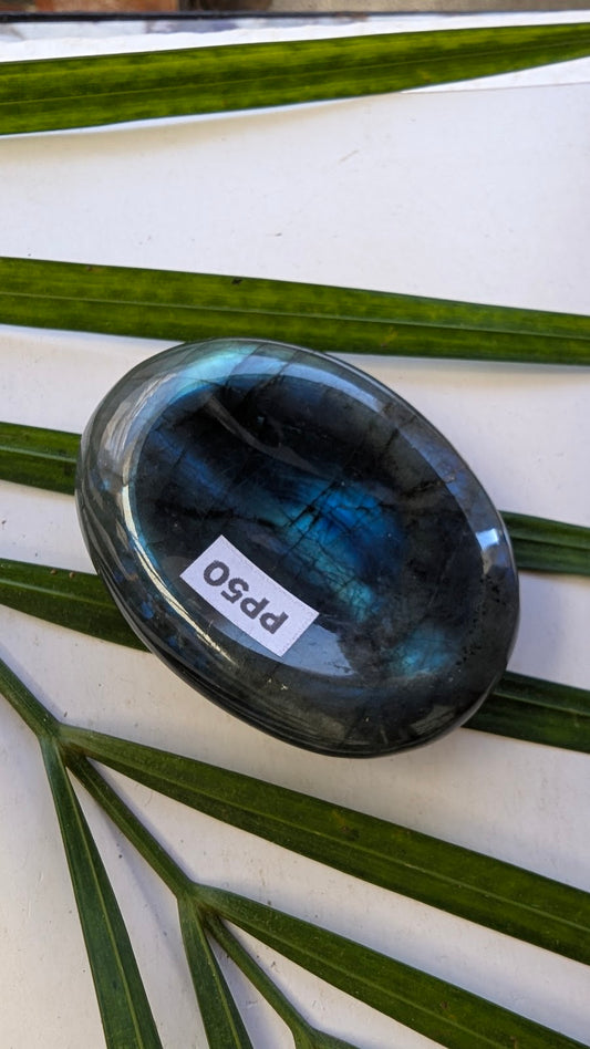 PP50 Labradorite Pierre de pouce