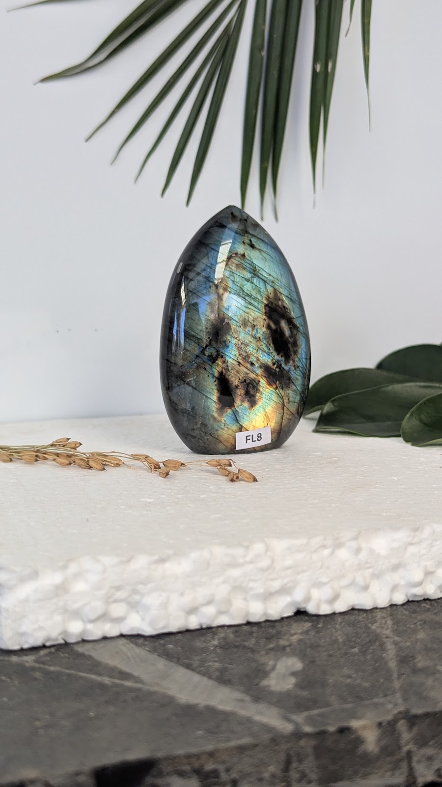 FL8 Labradorite Forme libre