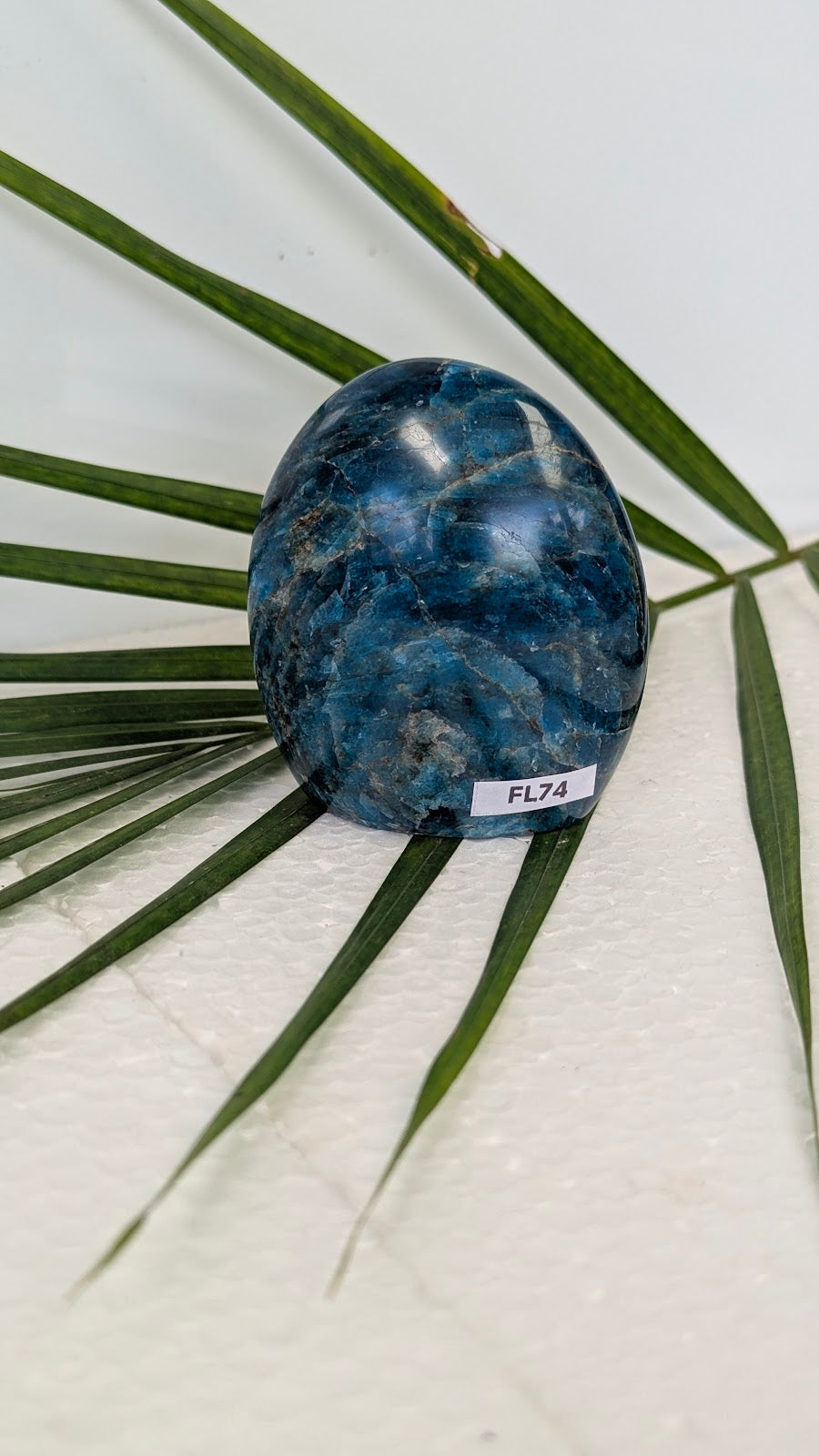 FL74 Apatite Forme libre