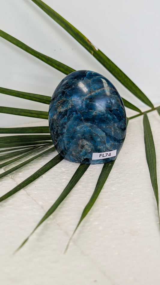 FL74 Apatite Forme libre