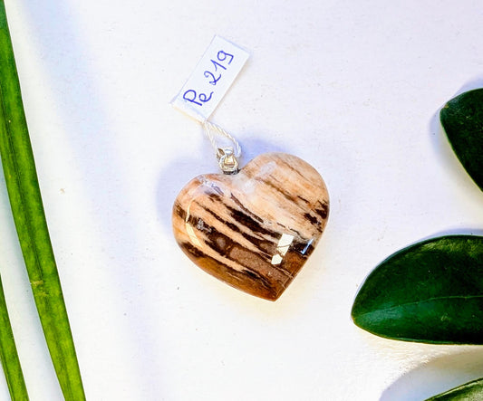 Pe 219 Bois fossilisé pendentif