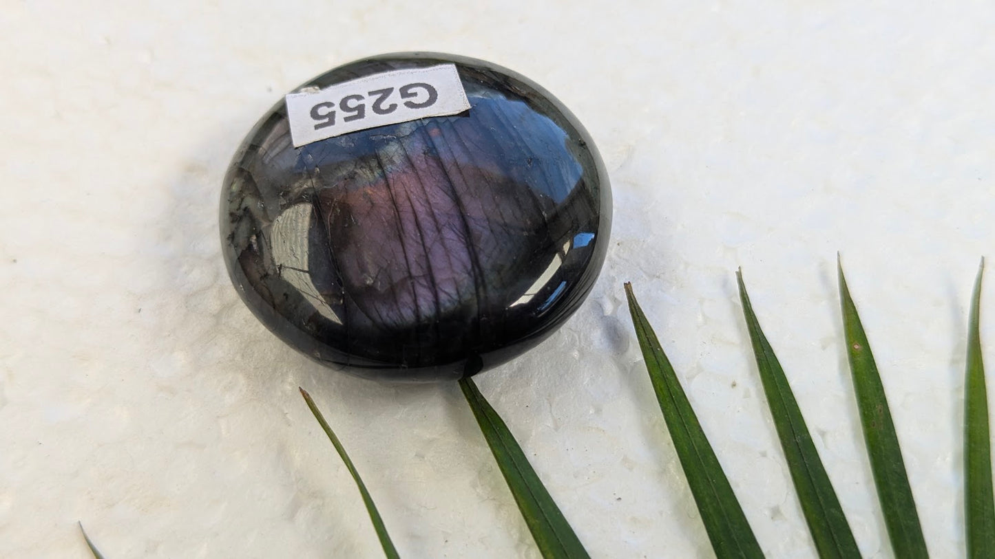 G255 Labradorite Galet