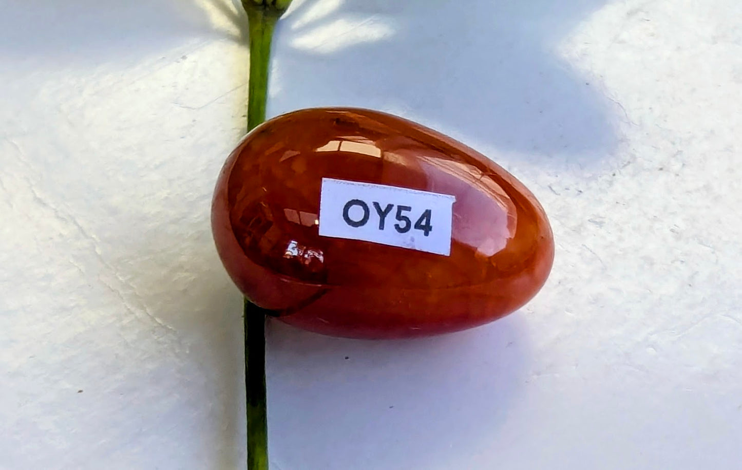 OY54 Cornaline Oeuf de Yoni