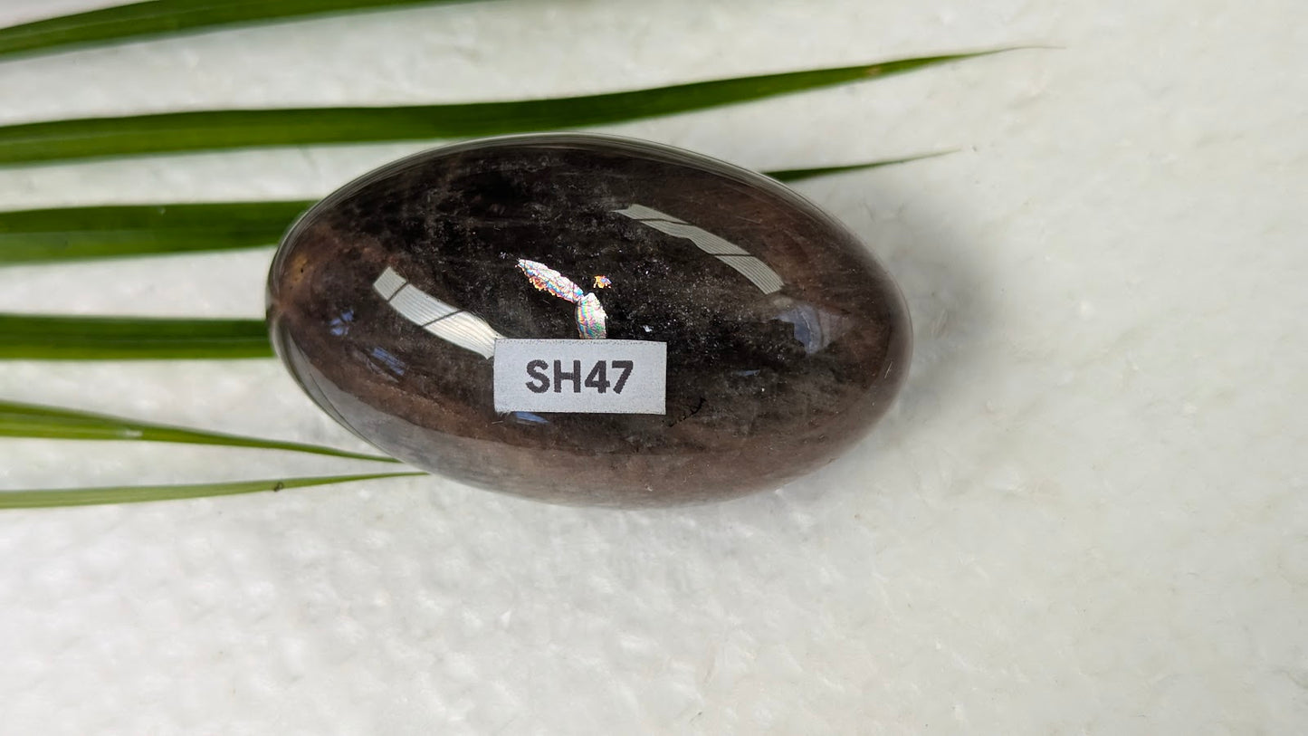 SH47 Quartz fumé shiva