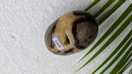 G472 Septaria galet