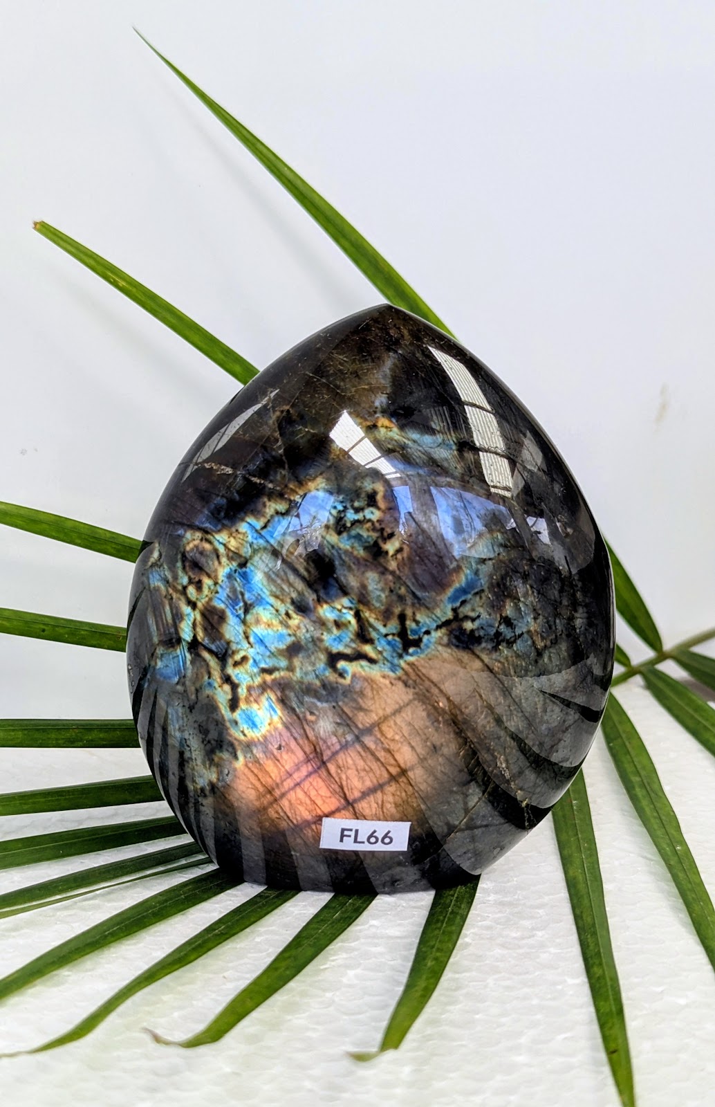FL66 Labradorite Forme libre