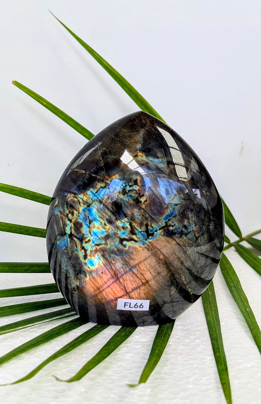 FL66 Labradorite Forme libre