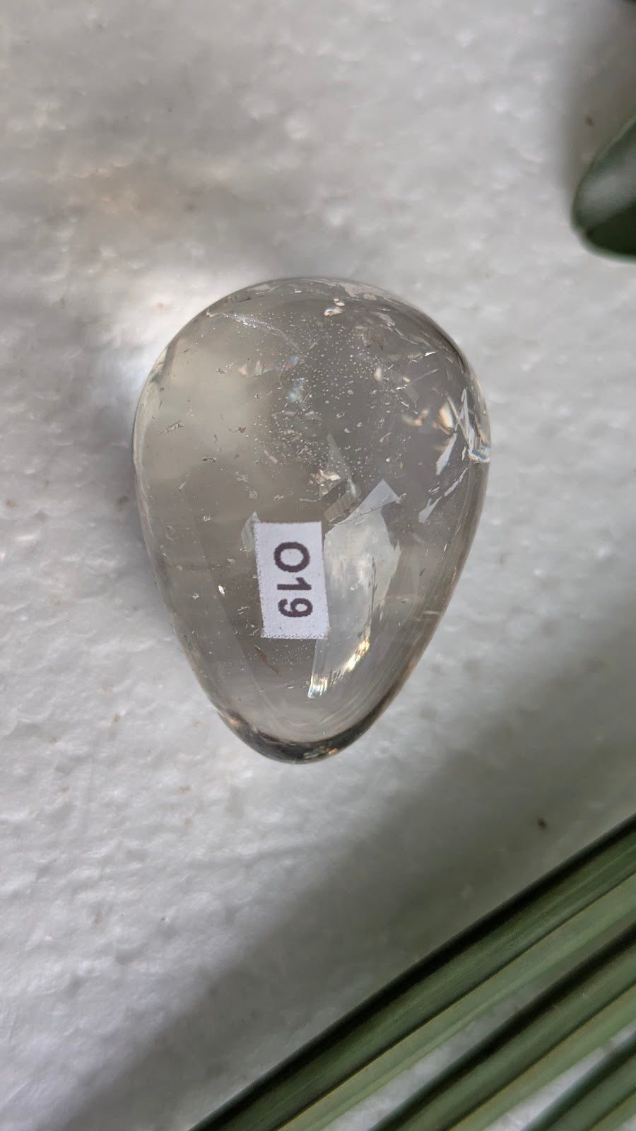 O19 Citrine Oeuf