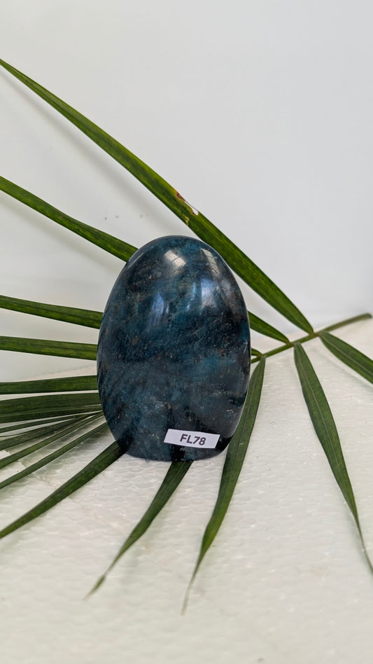 FL78 Apatite Forme libre