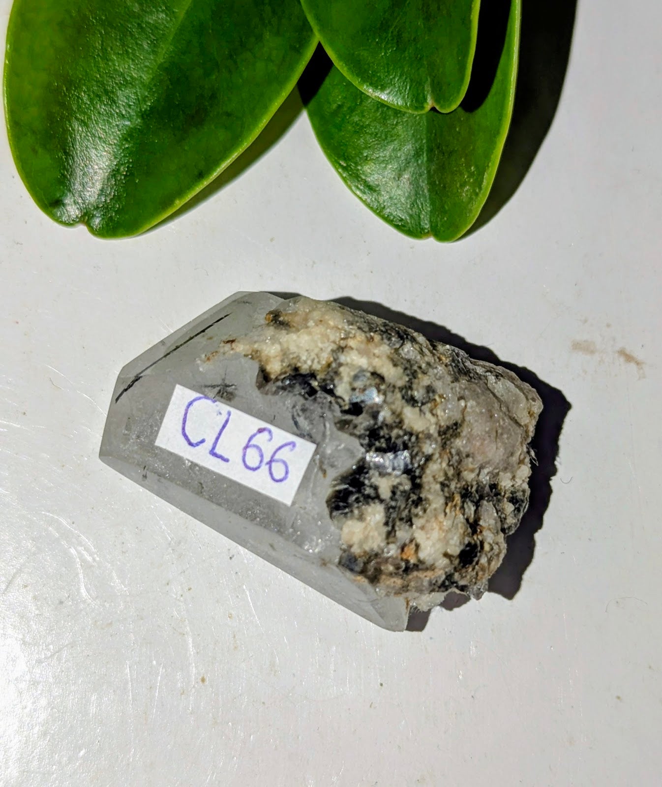 CL66 Quartz rutile collection