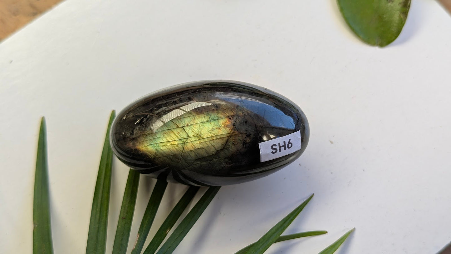 SH6 Labradorite shiva