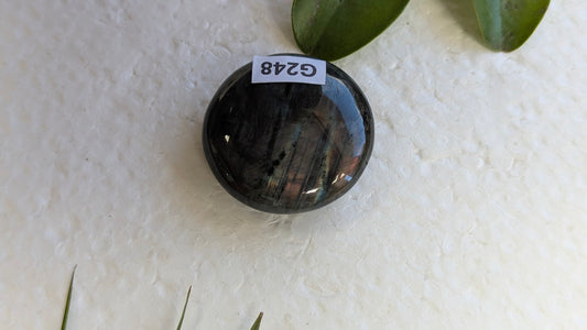 G248 Labradorite Galet