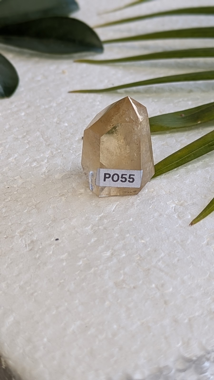 PO55 Cirtine Prisme