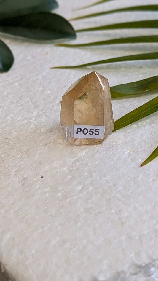 PO55 Cirtine Prisme