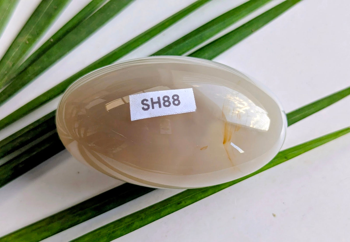 SH88 Agate shiva