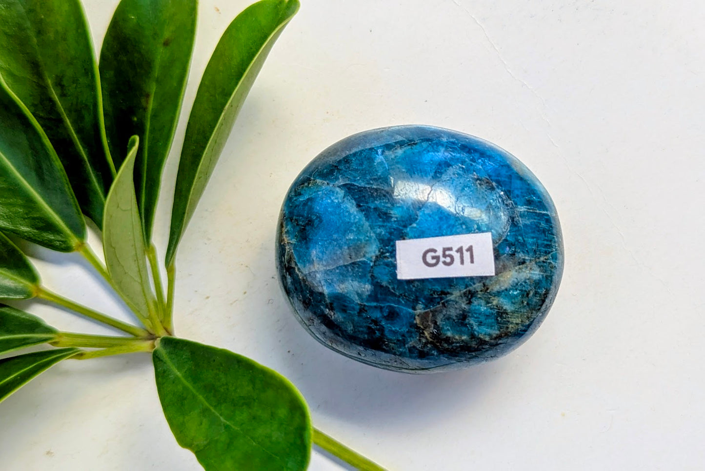 G511 Apatite galet