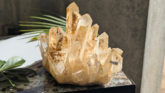 GC22 Cristal de roche collection