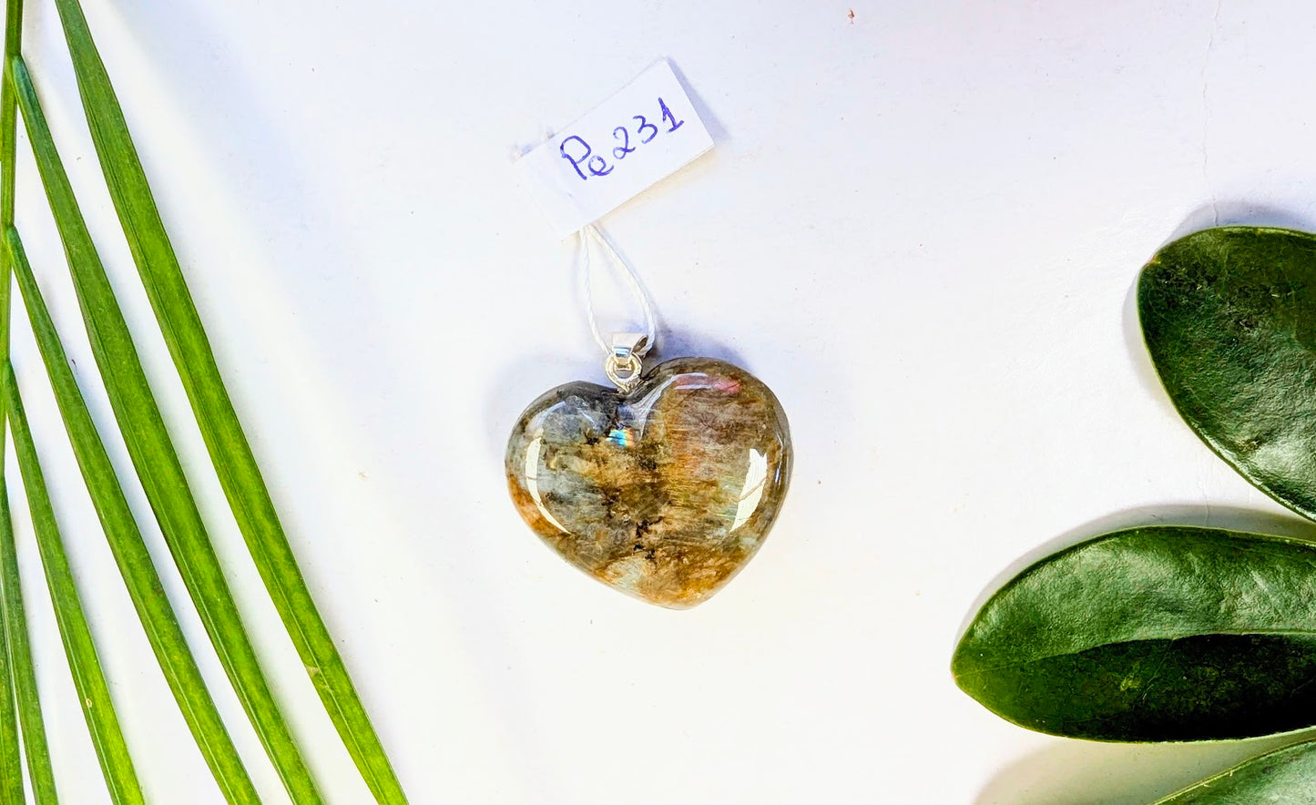 Pe 231 Agate fougère pendentif