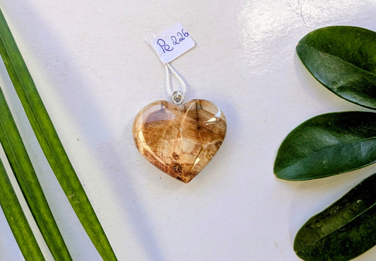 Pe 226 Bois fossilisé pendentif