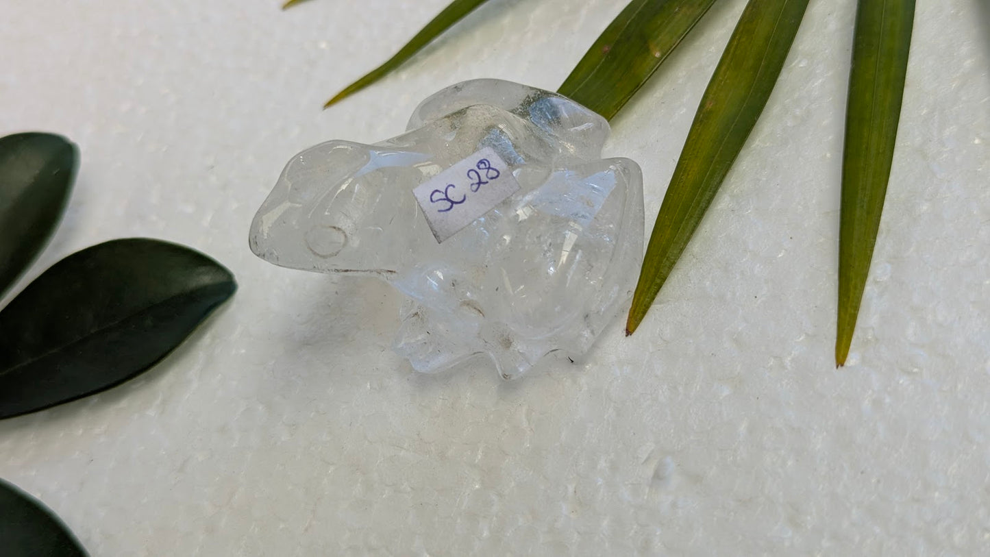 SC 28 Quartz blanc grenouille