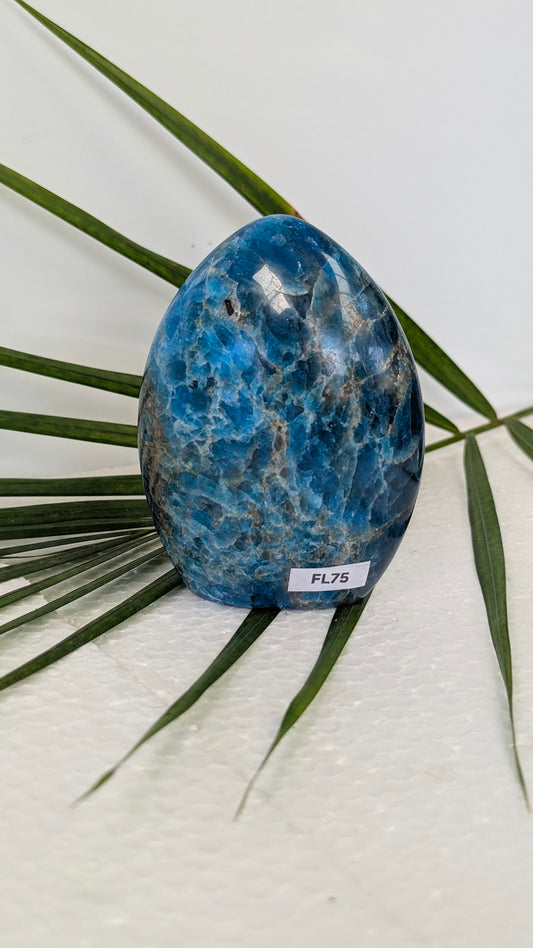 FL75 Apatite Forme libre